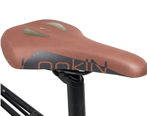 JOBOBIKE Henry City Electric Bike Men's-SR