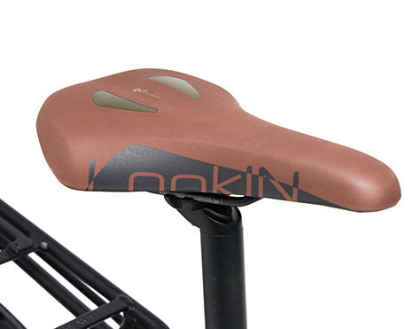 JOBOBIKE Lyon męski, miejski rower elektryczny z ramą typu Step-thru oraz silnikiem umieszczonym centralnie