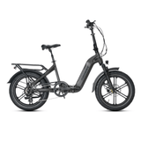 JOBOBIKE Romer - Elektryczny Rower Cargo
