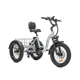 JOBOBIKE Triker-Elektryczny trójkołowiec cargo dla seniorów