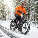 JOBOBIKE Elektryczny rower terenowy Robin Pro