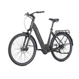 Rower elektryczny Luxe 2 Urban w kolorze Black Olive