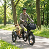 JOBOBIKE Triker (Przewidywana wysyłka w sierpniu)