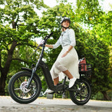 jobobike Elektryczny rower towarowy Romer Pro